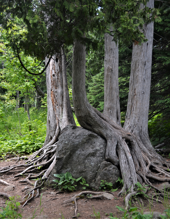 Tettegouche SP